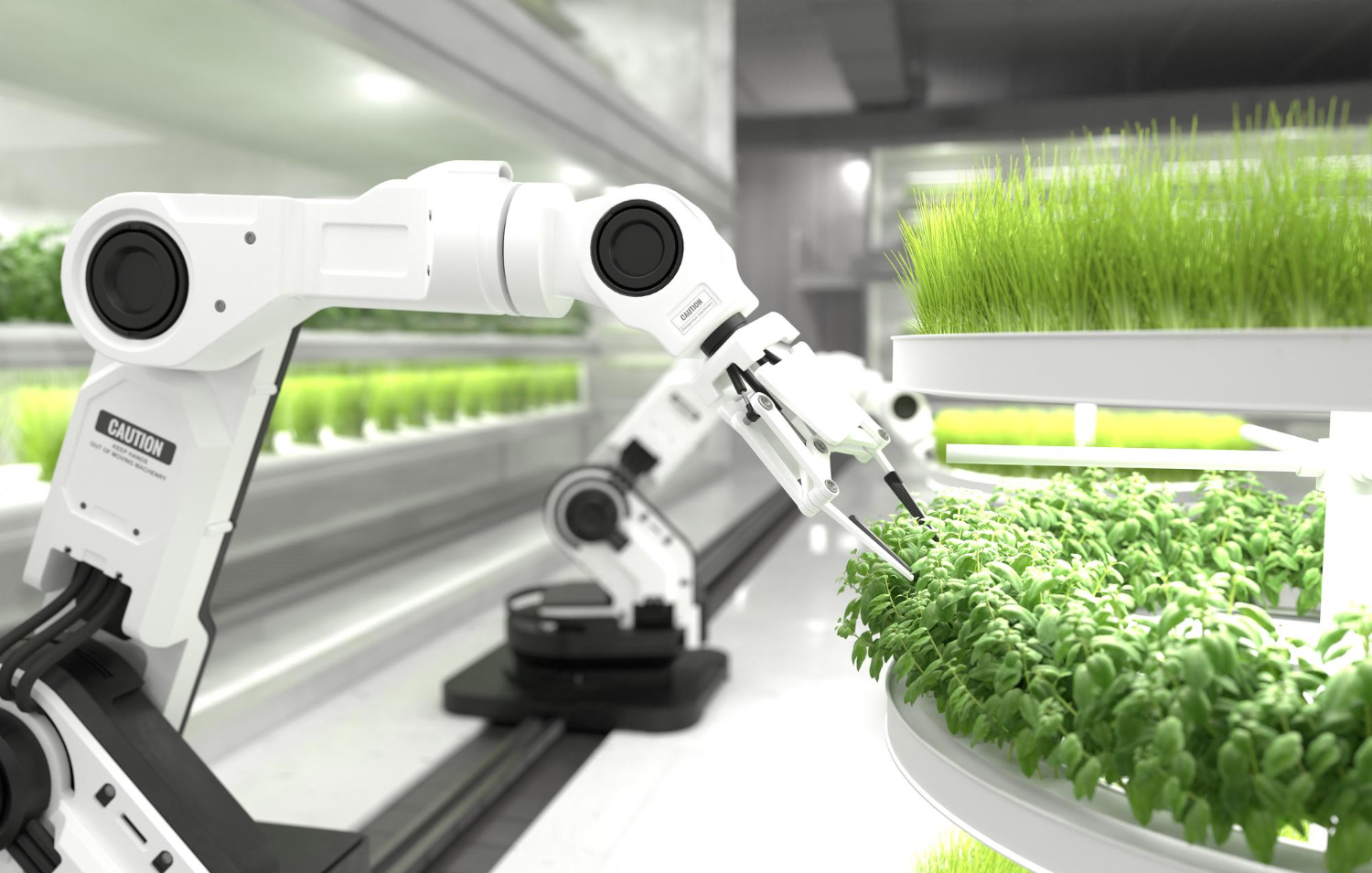 robot kitchen