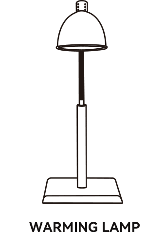 矢量智能对象11